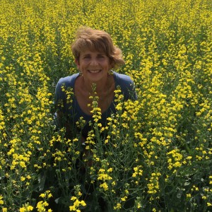 Canola Farm