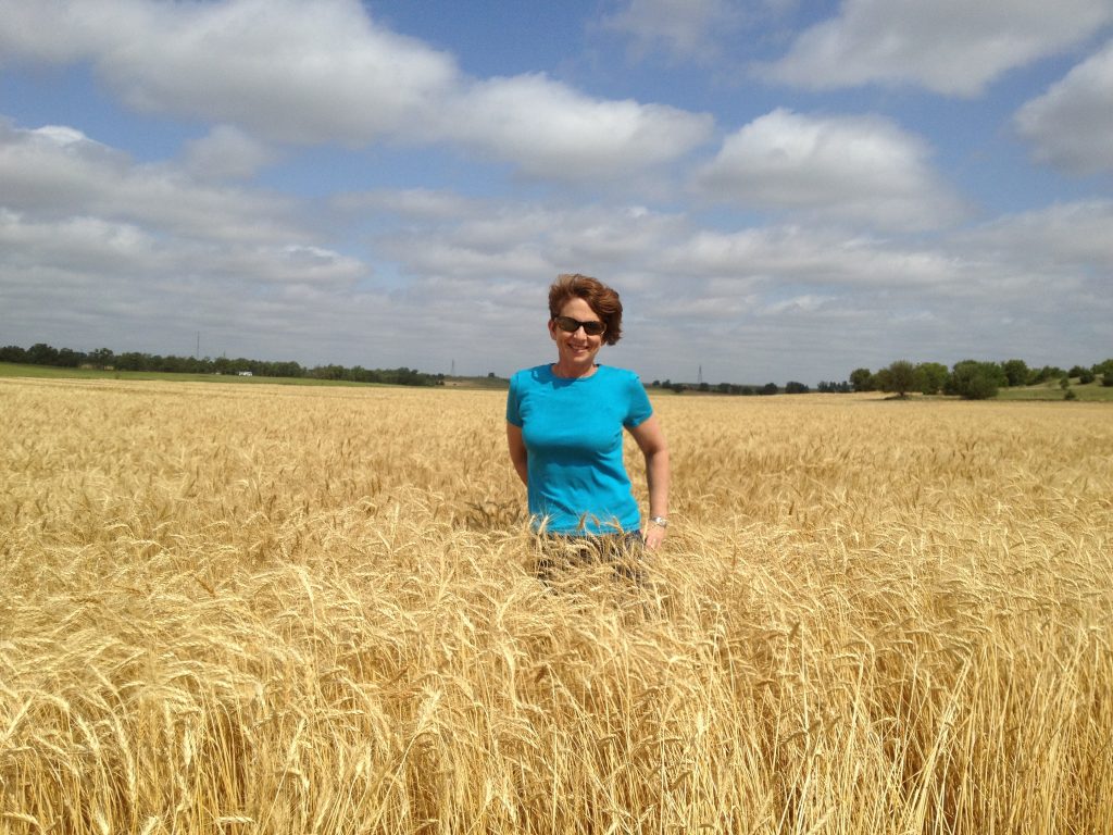 Wheat Foods Safari