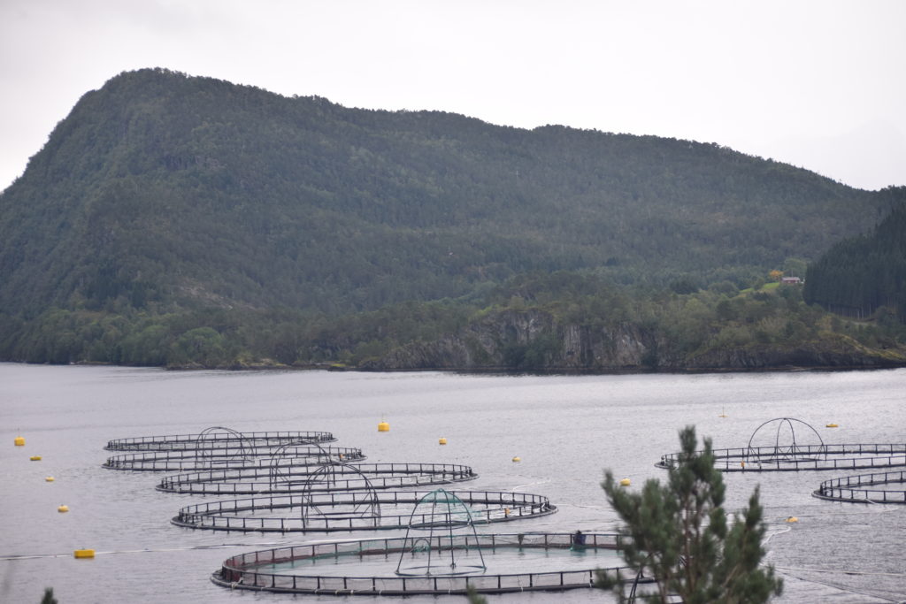 empty pens in fish farm in Norway