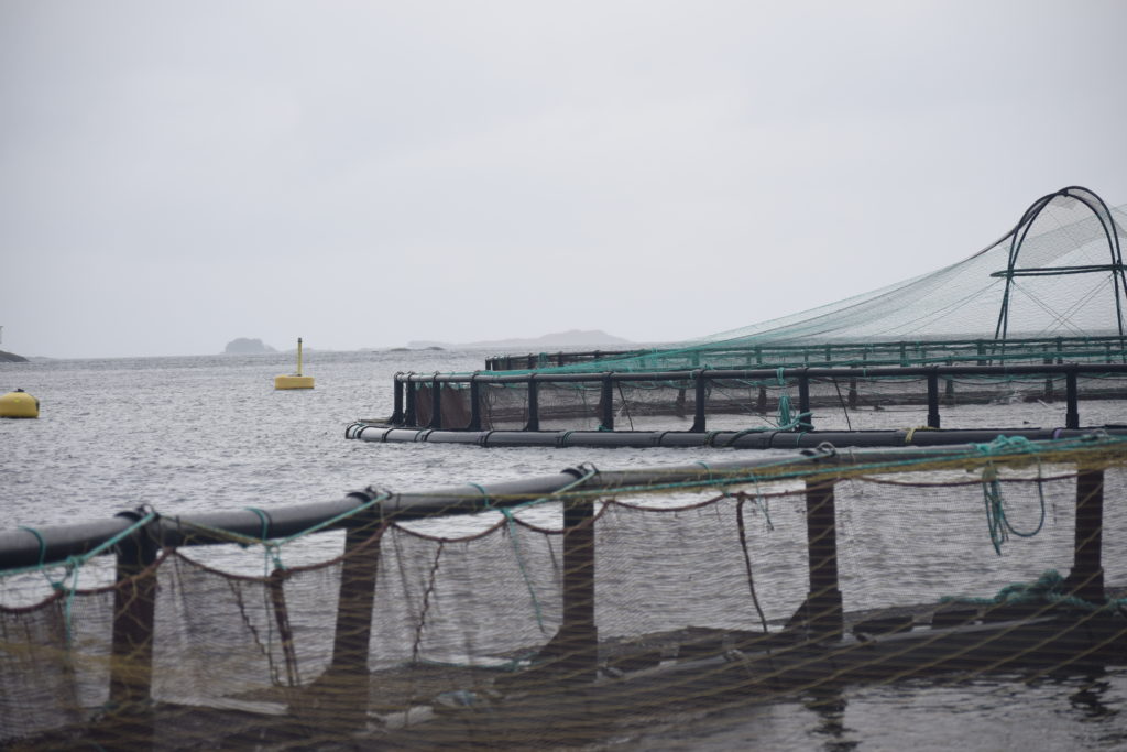 pen for farmed salmon in Norway