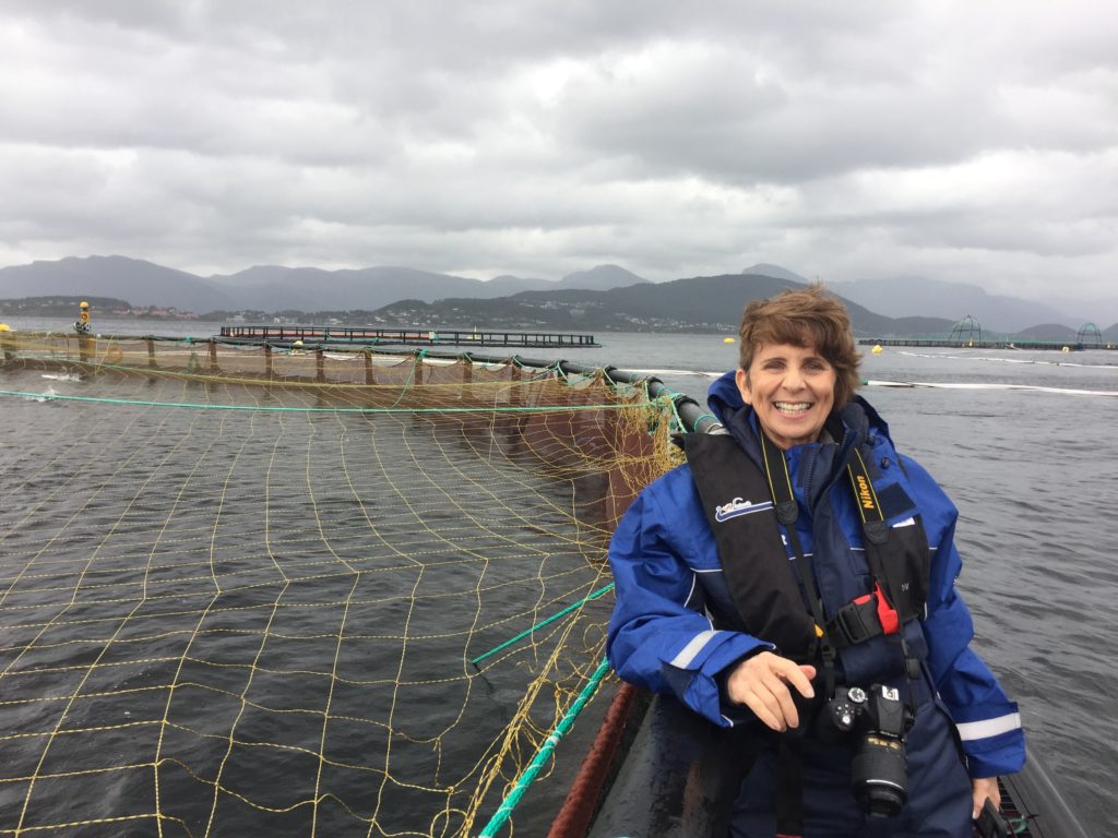 farmed fish pen in Norway
