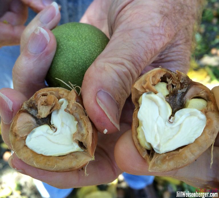 Walnuts? A Best Nut?