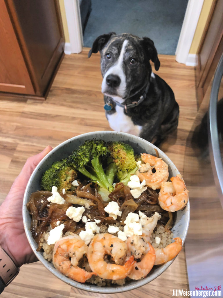 shrimp meal bowl with dog overlooking
