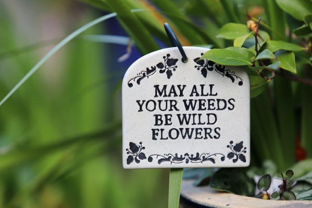 may all your weeds be wildflowers