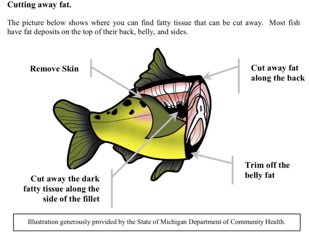 how to remove PCBs from fish