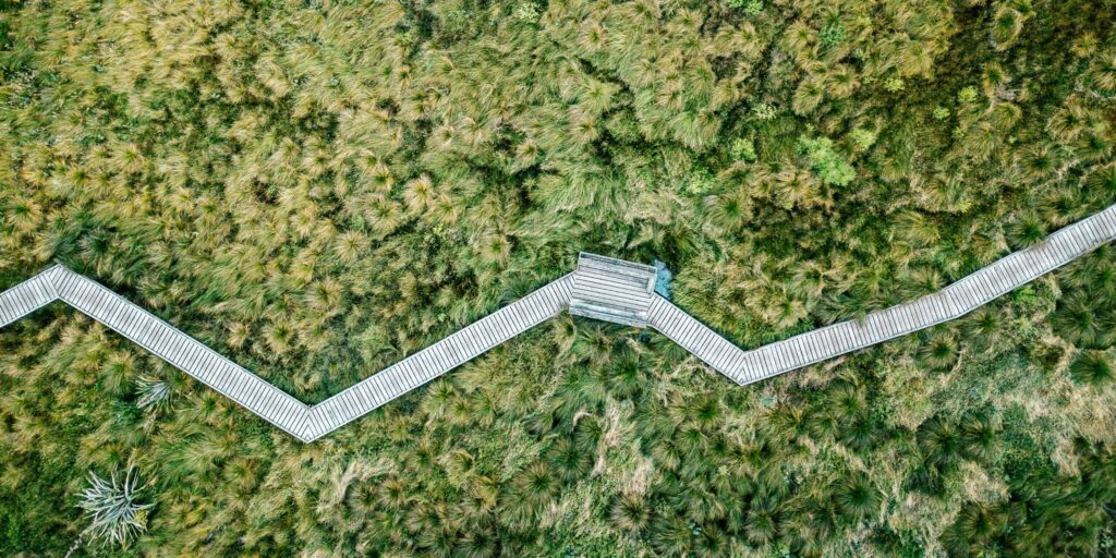 crooked path