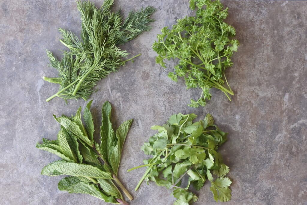 Fresh herbs with health benefits